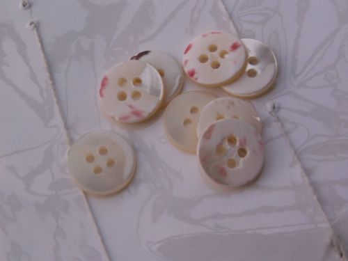 Shell Button, Nature Shell Button