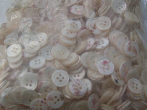 Shell Button, Nature Shell Button