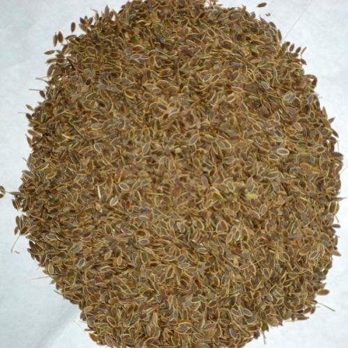 Dill Seeds, Moisture : 12 %