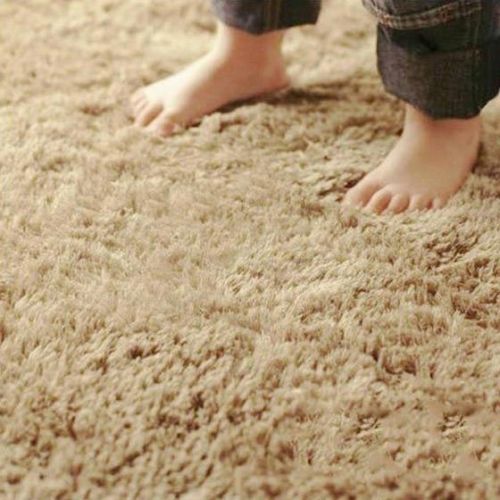 Shaggy Carpets