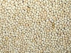 Activated Clay Desiccant