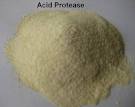 Acid Protease Enzyme
