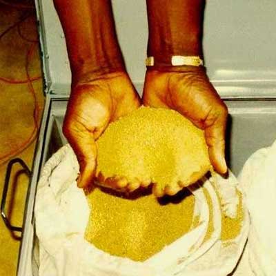 Gold dust, Density : 22K