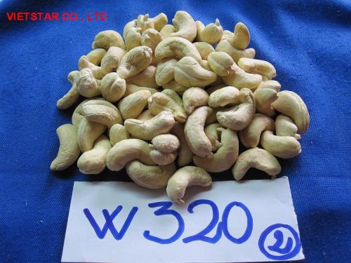Cashew nuts, Taste : Light Sweet