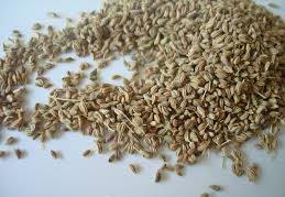 Carom Seeds