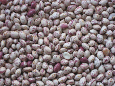 Light speckled kidney beans