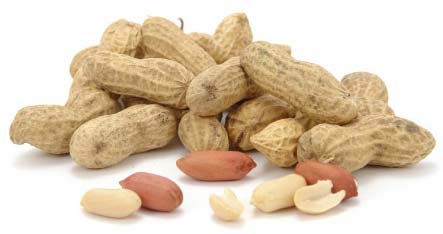 Raw Bold Peanuts