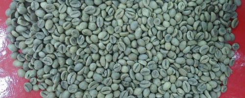 Arabica coffee beans, Warranty : 24 months