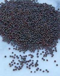 Black Mustard Seed
