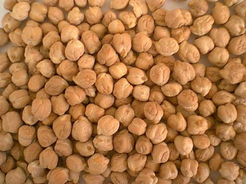 Chickpeas, Packaging Type : Plastic Packet