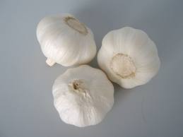 Fresh Pure White Garlic