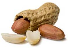 Groundnut, Country of Origin : India
