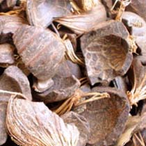 Palm Kernel Shells