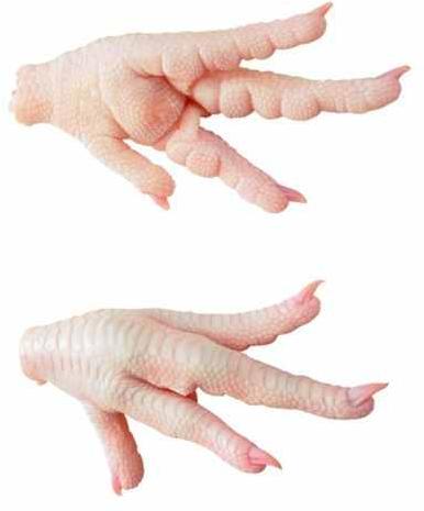 Chicken Paws, Certification : ISO 9001:2008