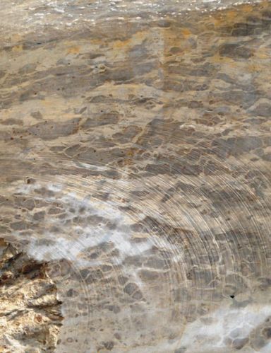 Tendu Beige Marble Block