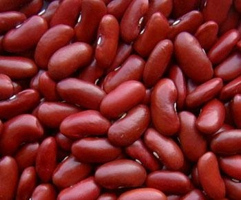 Common red kidney beans
