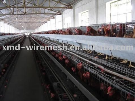 High Quality Chicken Layer Cage