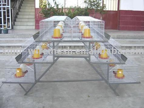 Hot Galvanized Farm Breeding Chicken Cage