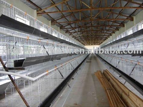 Hot Galvanized Farm Laying Chicken Cage