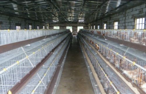 Innaer Design Layer Chicken Cage For Farm Or Shed