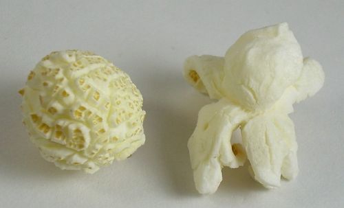 Butterfly and Mushroon Popcorn Grain, Packaging Type : natural