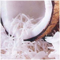 Desiccated Coconut, Purity : 100%