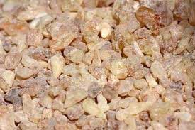 Boswellia Serrata Extract