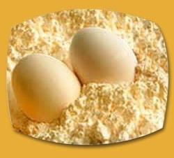 Egg Powder, For Making Cakes, Mayonnaise, Pancakes, Pastries, Certification : FSSAI Certified