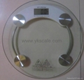 Electronic Health Scale