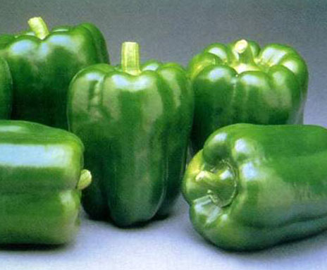 Fresh vegetables, Storage Condition : Natural