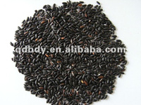 Black rice