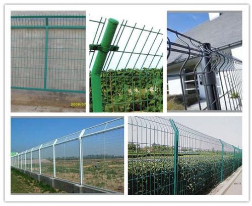 Wire Mesh Fence