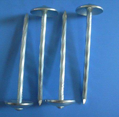 Umbrella Head Roofing Nails