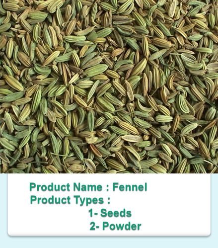 Fennel, Packaging Size : 100Gm, 250Gm