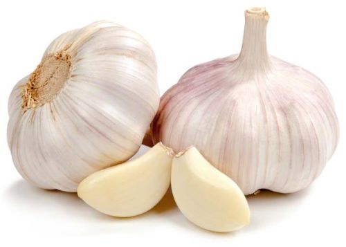 Fresh Garlic, Packaging Type : Plastic Bags