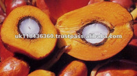 Crude palm oil, Packaging Size : 1 Litre, 5 Litre, 2L, 5L, 1litres