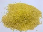 Millet seed