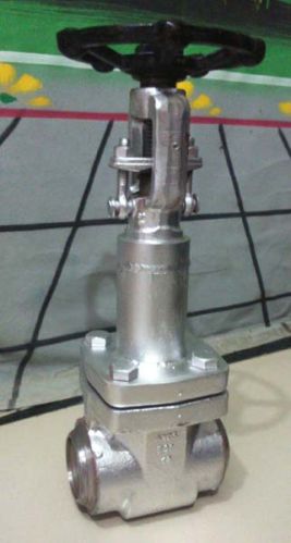 SG WCB Bellow Seal Globe Valve