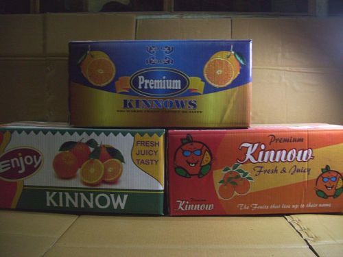 Jainsons Packers Paper Printed Corrugated Boxes, For Storage