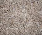 Sunflower seeds, Packaging Type : white