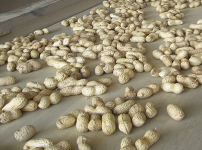 Peanut 9/11, Packaging Type : white