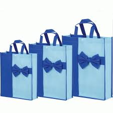 Non Woven Gift Bags