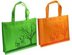 Promotional Non Woven Bags