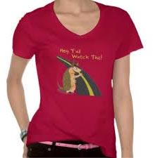 Ladies V Neck T Shirt