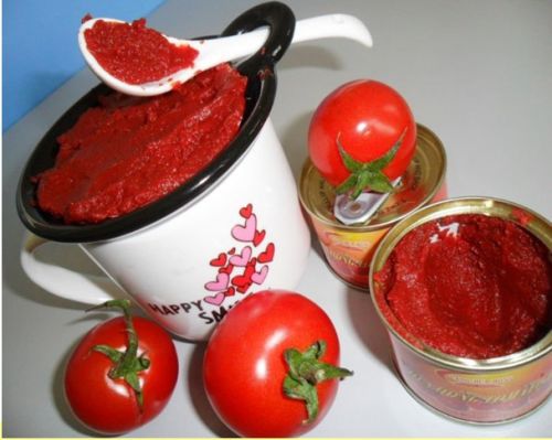 400g Tomato Sauce, Form : Pasty, Packaging Type : tin can