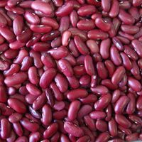 Organic kidney beans