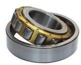 Short Cylindrical Roller Bearings
