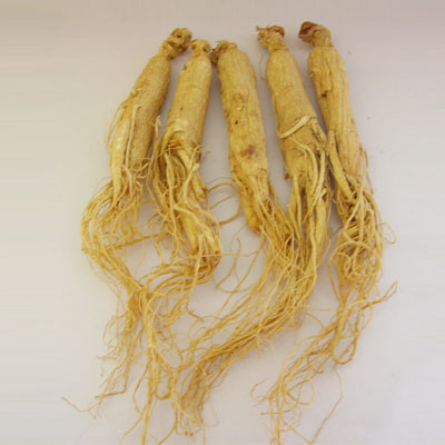 Panax Ginseng Extract, Ginseng Extract