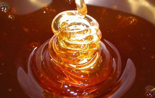 Natural honey, Packaging Type : Bulk Drums / 1kg PET Jars