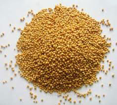 Mustard Seeds